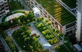 Zu den zentralen Neuerungen zählen präzisere Vorgaben für Planungssicherheit, insbesondere durch ein definiertes Brandverhalten für alle Dachbegrünungskategorien, das die Brandschutzplanung unterstützen und Unsicherheiten reduzieren soll.