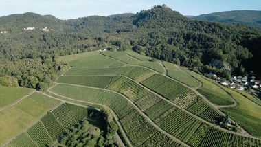 Das Weingut Nägelsförst
