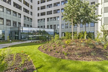 Eröffnung von Hans-Y