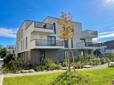 Das Projekt  Leovita