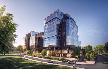 Das Projekt Forrest Offices der RPHI