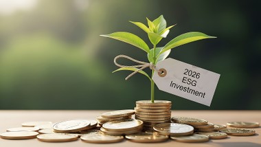 Nachhaltigkeit ist eng mit Risikomanagement, Werteerhalt und Kapitalzugang verknüpft. 