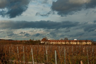 Martinek-Kaserne in Baden bei Wien