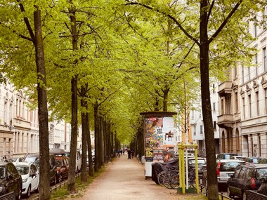 KI-Experten möchten Münchens Bäume zu KI-Grün machen