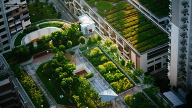 Zu den zentralen Neuerungen zählen präzisere Vorgaben für Planungssicherheit, insbesondere durch ein definiertes Brandverhalten für alle Dachbegrünungskategorien, das die Brandschutzplanung unterstützen und Unsicherheiten reduzieren soll.