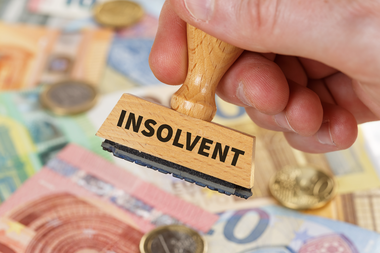 Der Wiener Immobilienentwickler Avoris ist insolvent.