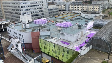 Gemüseanbau auf den Dächern von Paris