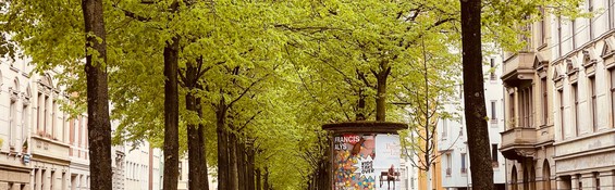 KI-Experten möchten Münchens Bäume zu KI-Grün machen