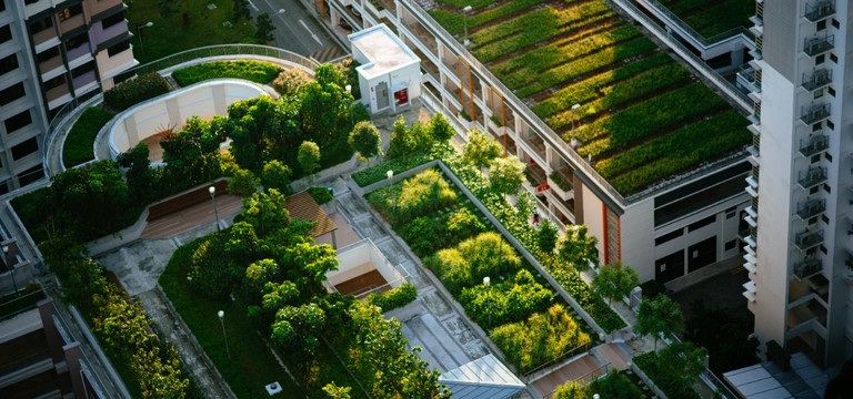 Zu den zentralen Neuerungen zählen präzisere Vorgaben für Planungssicherheit, insbesondere durch ein definiertes Brandverhalten für alle Dachbegrünungskategorien, das die Brandschutzplanung unterstützen und Unsicherheiten reduzieren soll.