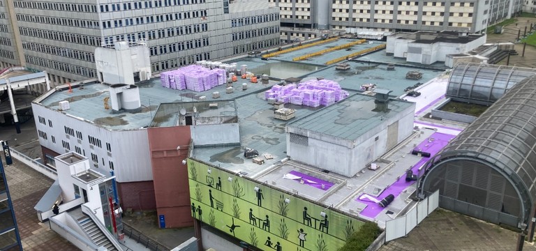 Gemüseanbau auf den Dächern von Paris